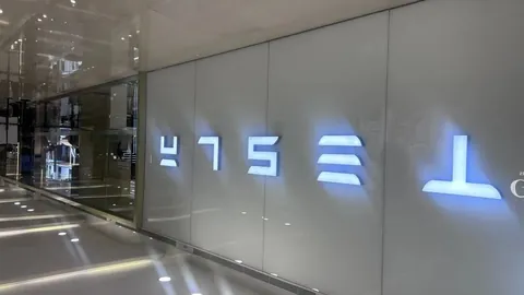 2026最新，世界杯比分实时更新直播，列车停运晚点情况速览
